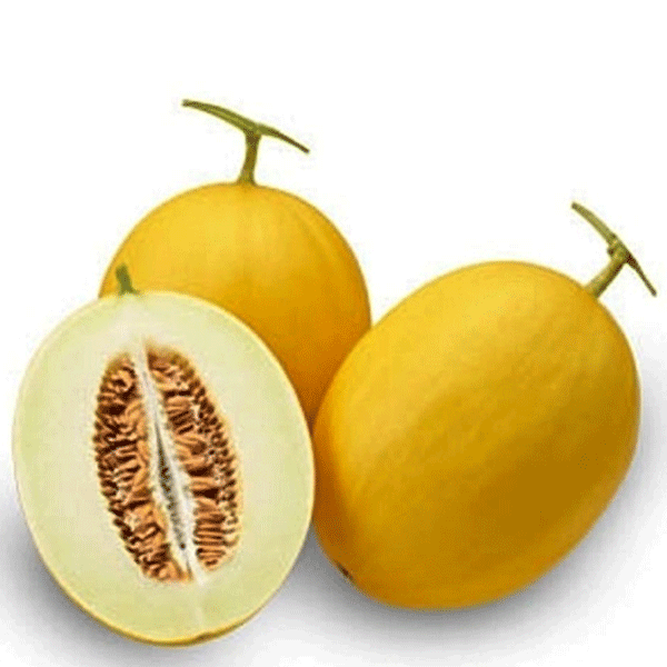 manfaat-melon-emas