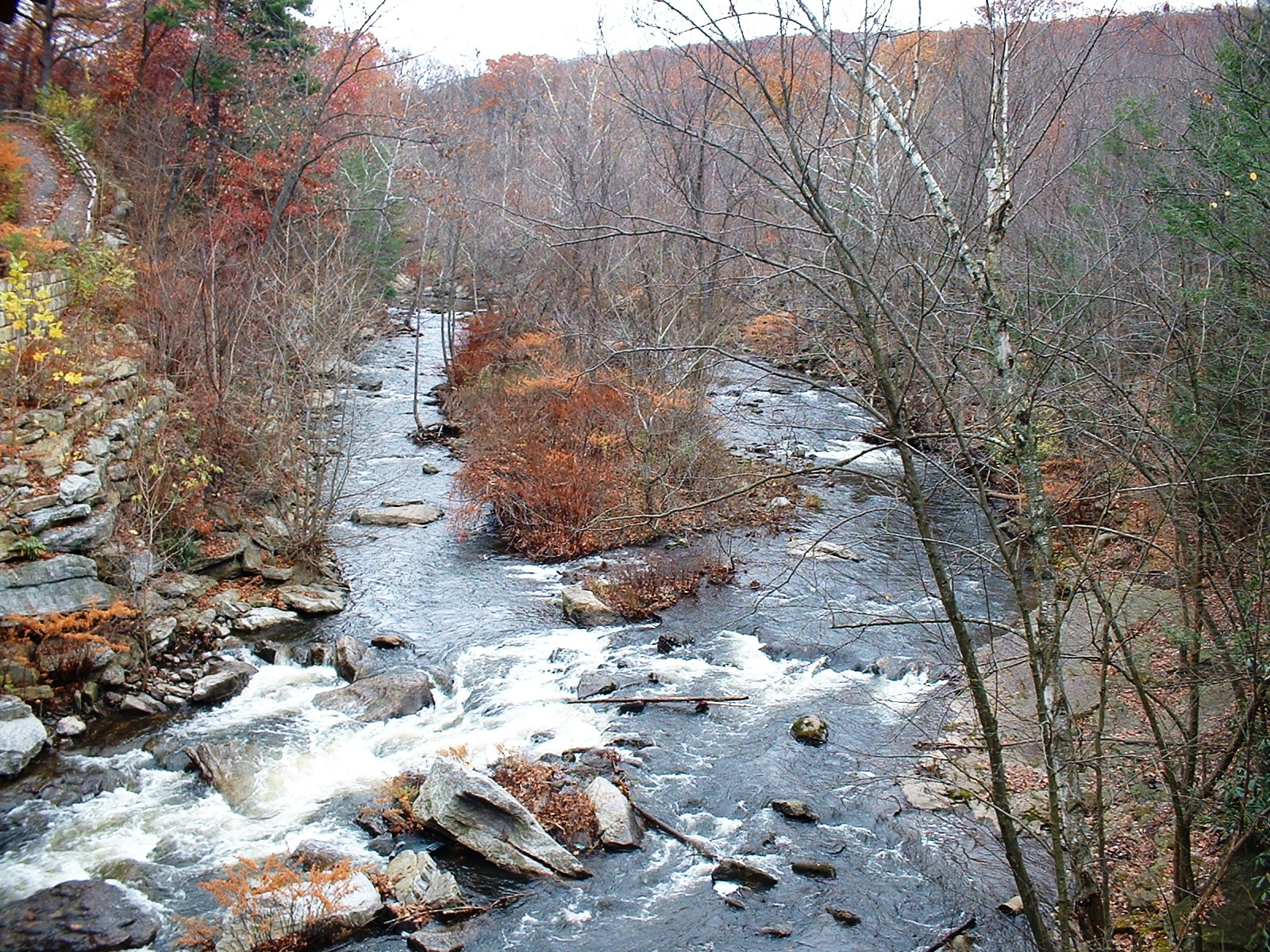 Frank's Place Roaring Brook