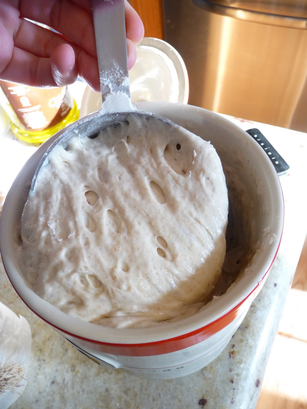 Dabbling in Delicious: Sourdough Bread