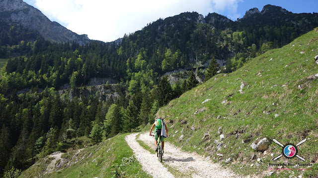 Trails Wendelstein Bike