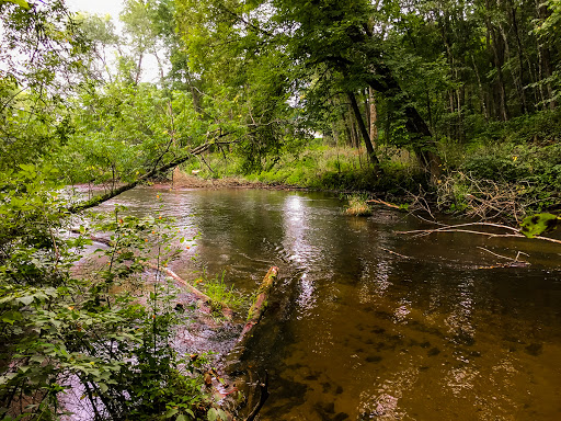 Waupaca River on the Waupaca River Segment of the Ice Age Trail Waupaca River on the Waupaca River Segment of the Ice Age Trail