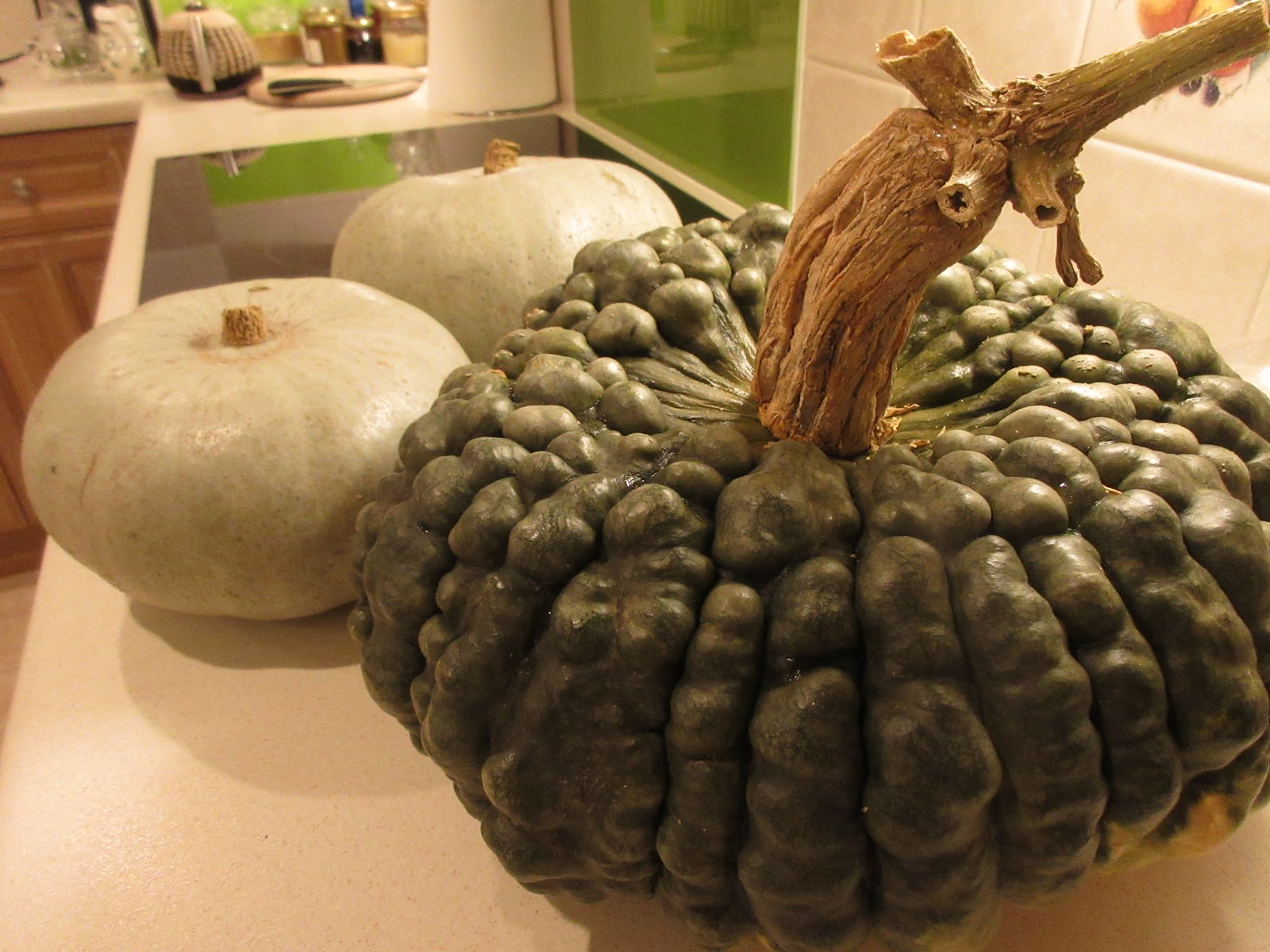 Stasher Marina di Chioggia Pumpkin, former post in the name Ironbark