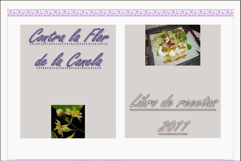 Libro de Recetas 2011