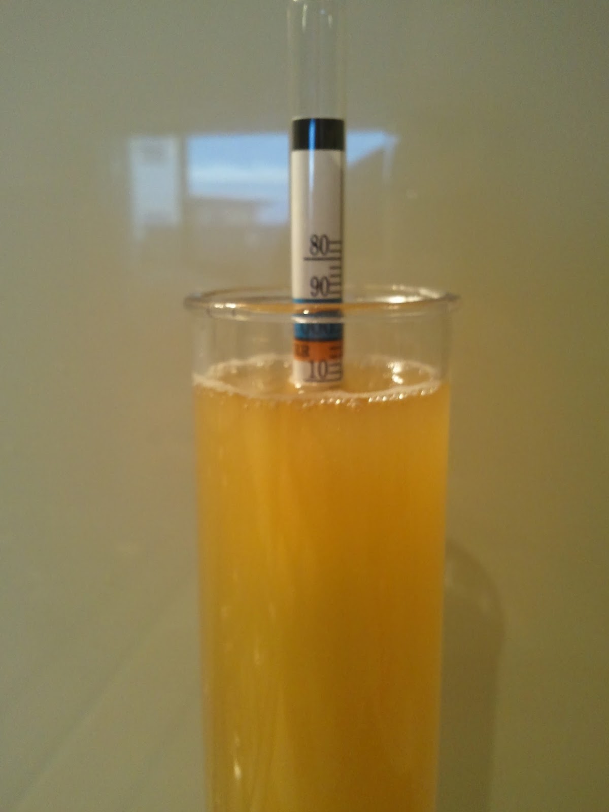 Home Brewing... how hard can it be? Brew Two Hydrometer reading