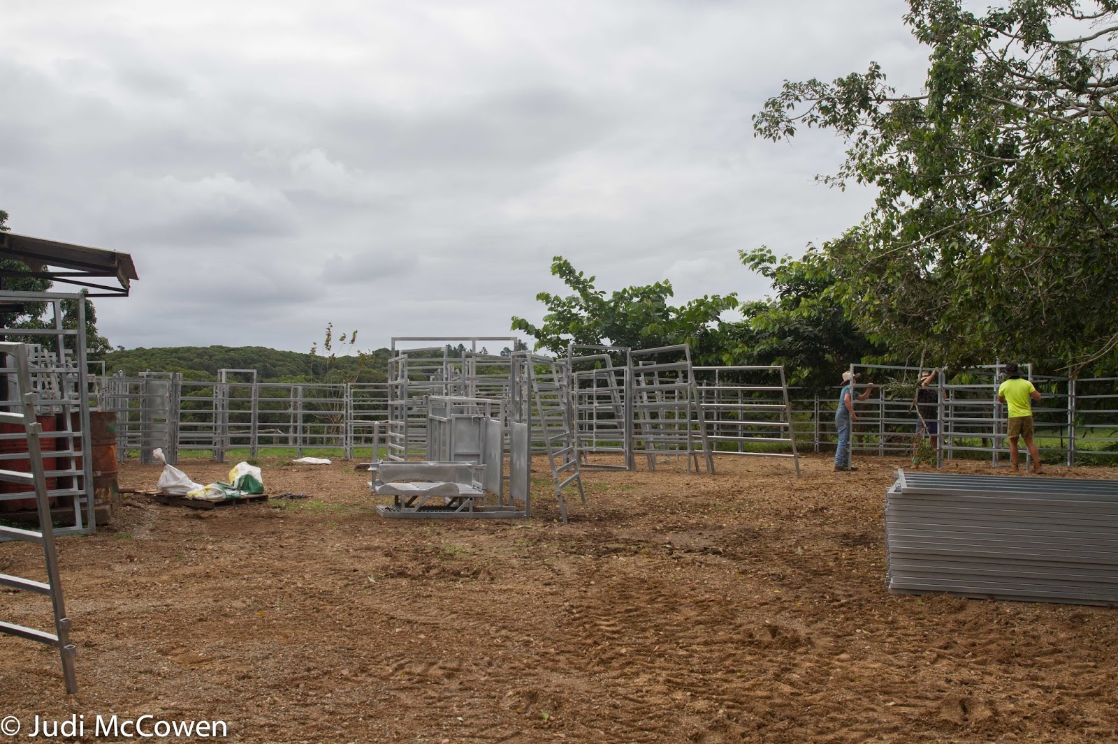 JUstDreamInparadise The New Cattle Yards