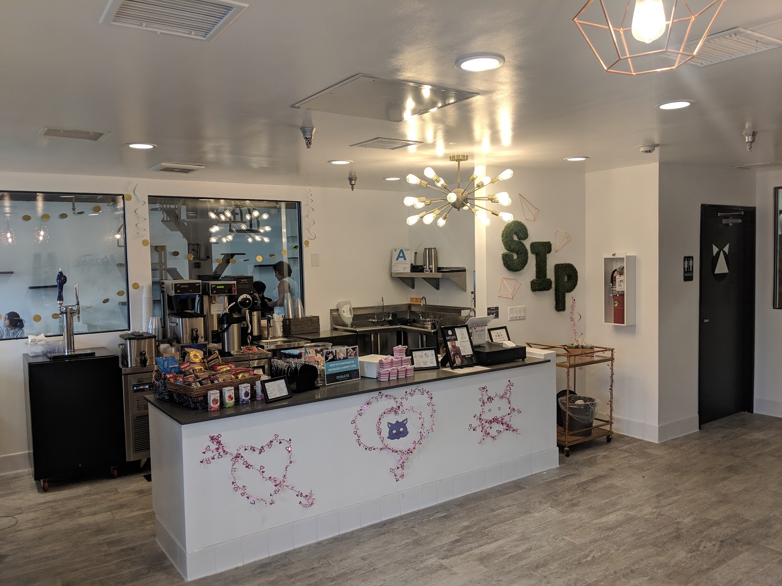 Cat Cafe Lounge Los Angeles