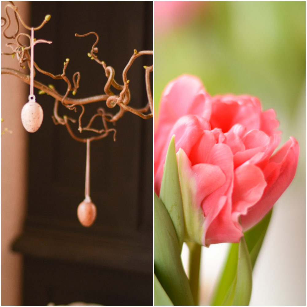 Stadtkind Design Februar 2016