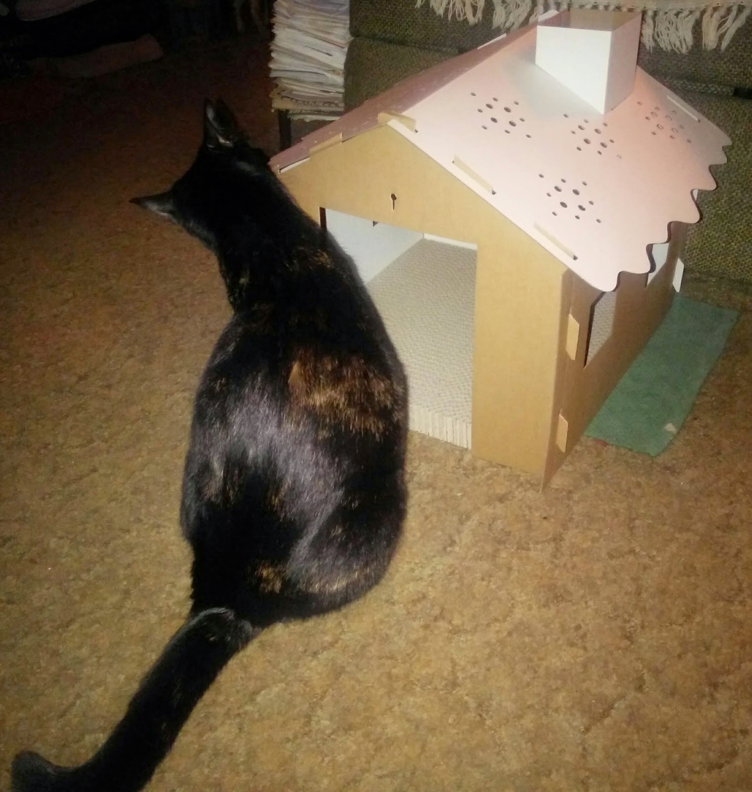 Melissa's Mochas, Mysteries and Meows Target Gingerbread House Cat