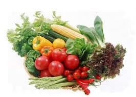 Istilah Istilah Dalam Ilmu Gizi Psychologymania