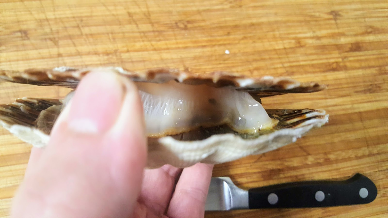 Ouvrir des coquilles SaintJacques