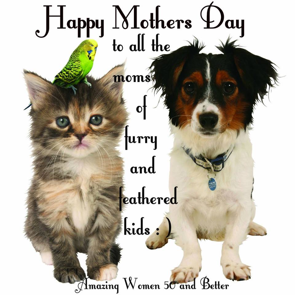 Giggles Grins And Reflections Mother S Day 2019