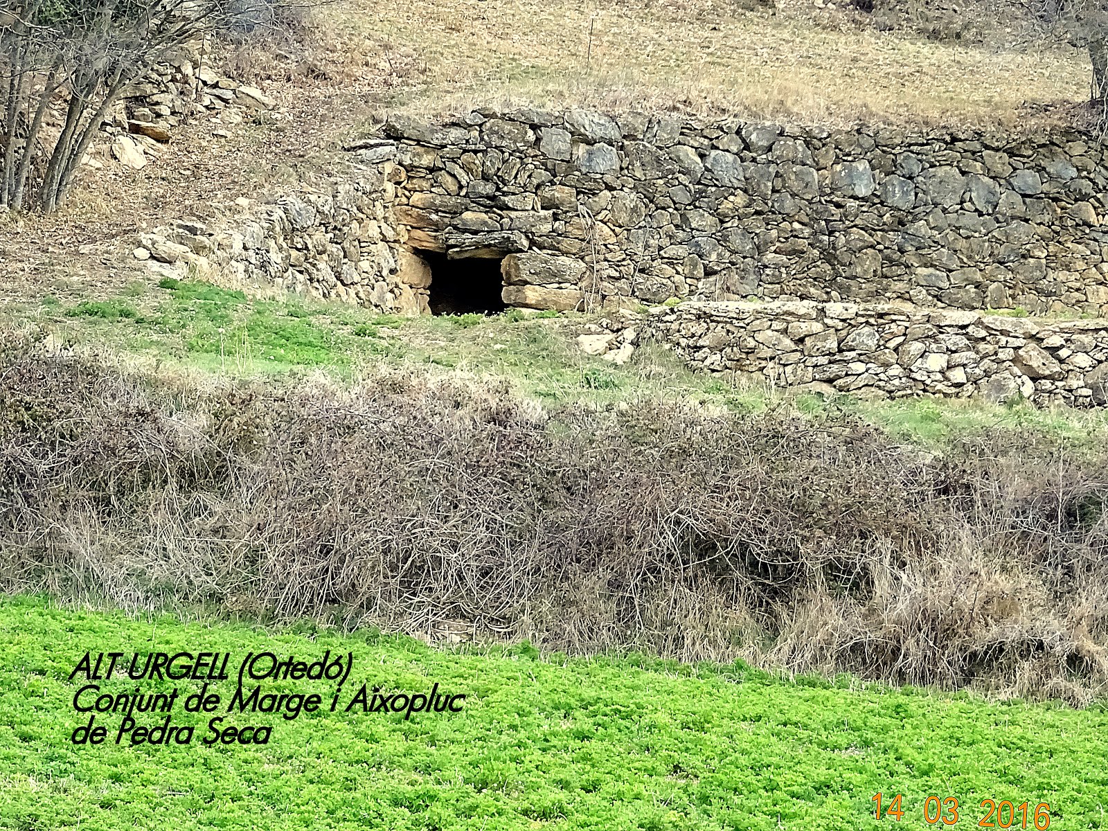 UNA ALTRE ACOLLIDOR AIXOPLUC DE MARGE A L'ALT URGELL.