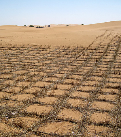 Halting desertification
