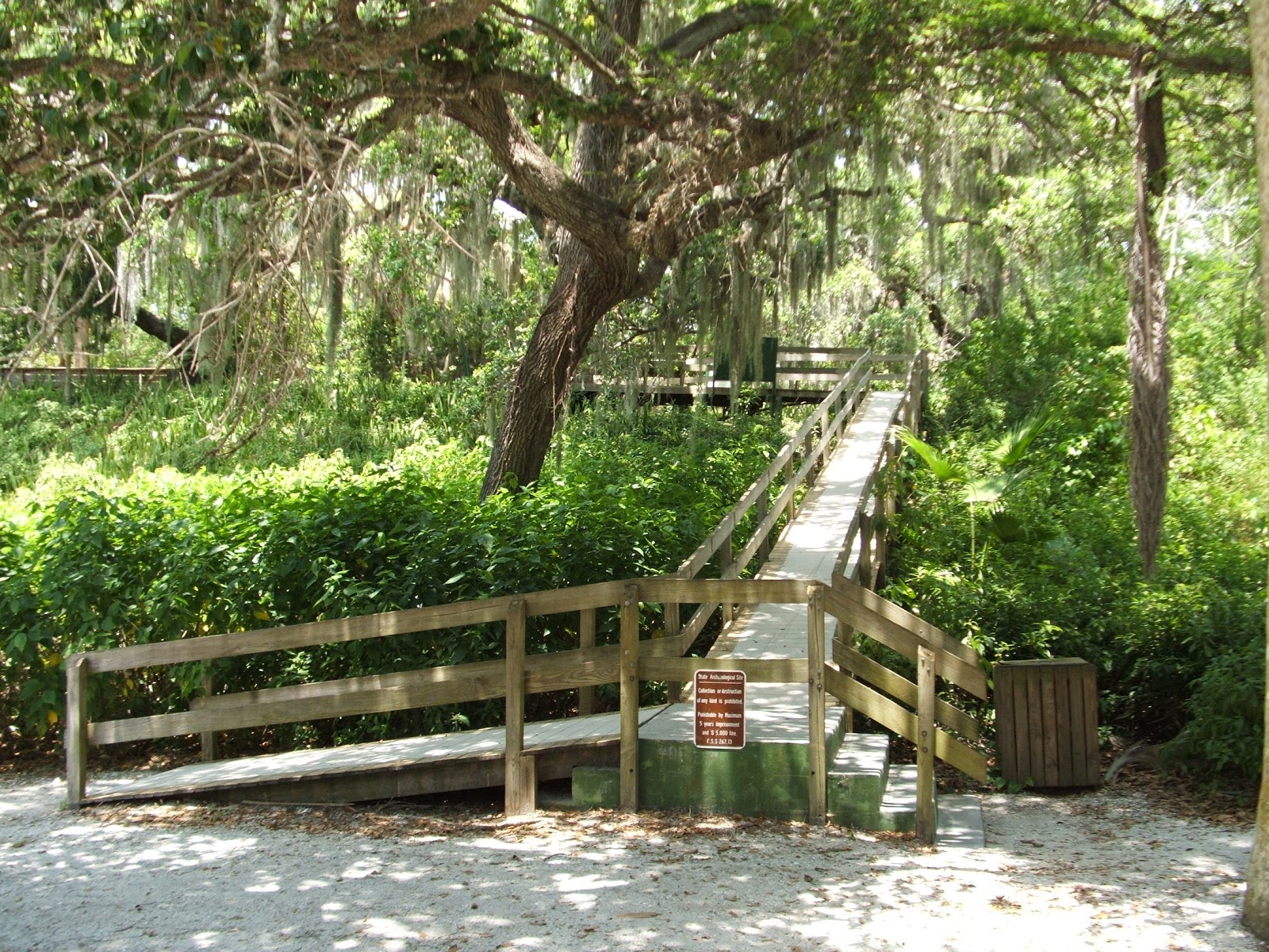 Florida's Natural Habitats