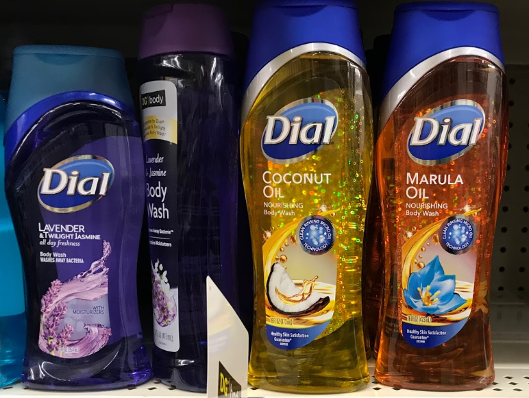 Dollar General Dial Body Wash 1 Each (Save 2!)