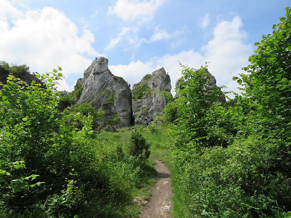Góra Zborów zborow