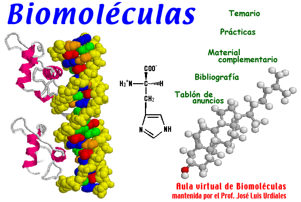 biomoleculas inorganicas agua sales minerales y gases biomoleculas inorganicas agua sales minerales y gases