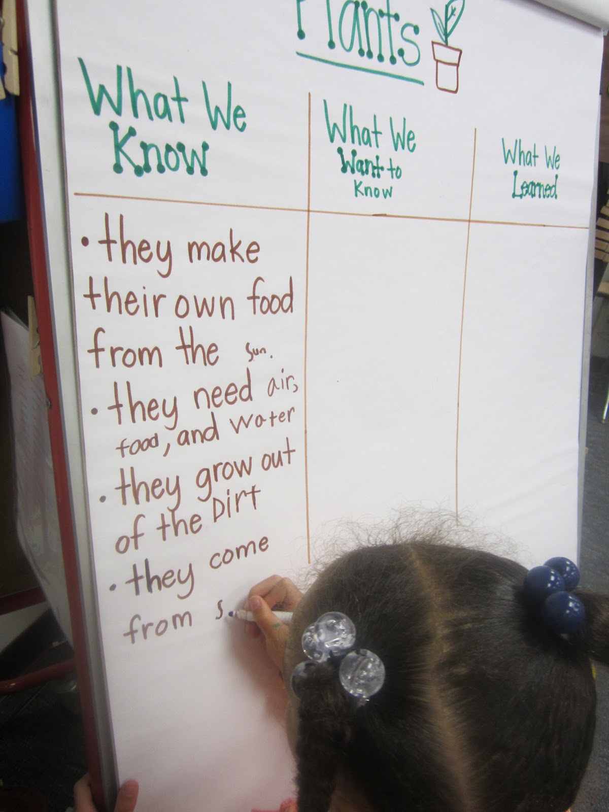 Kindergarten is "Kool": Plants