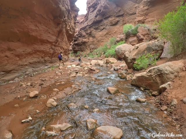Easy Slot Canyons Near Moab Easy Slot Canyons Near Moab