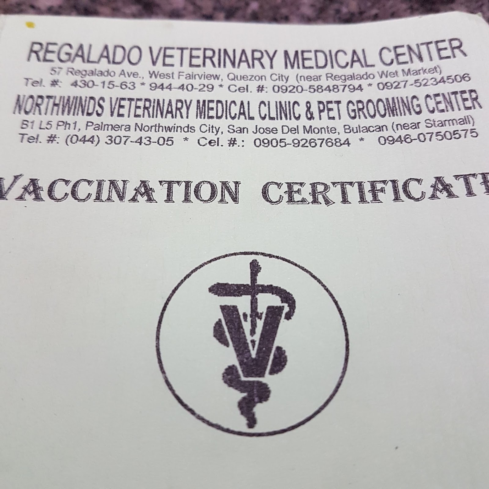 A visit to the Regalado Veterinary Medical Clinic Fur Parent Chronicles