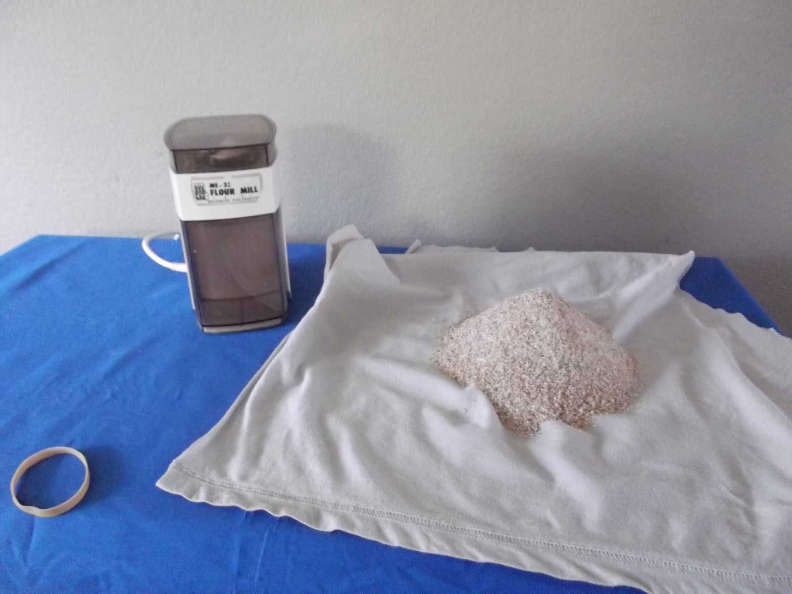 The Resourceful Life How to make malt vinegar from wheat.