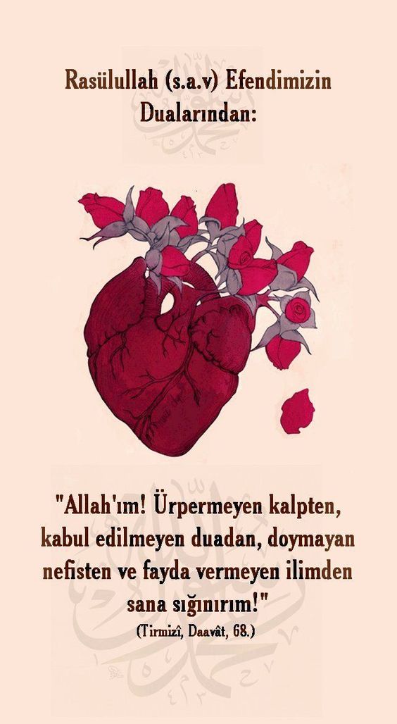 hadisi serifli resimli kartlar