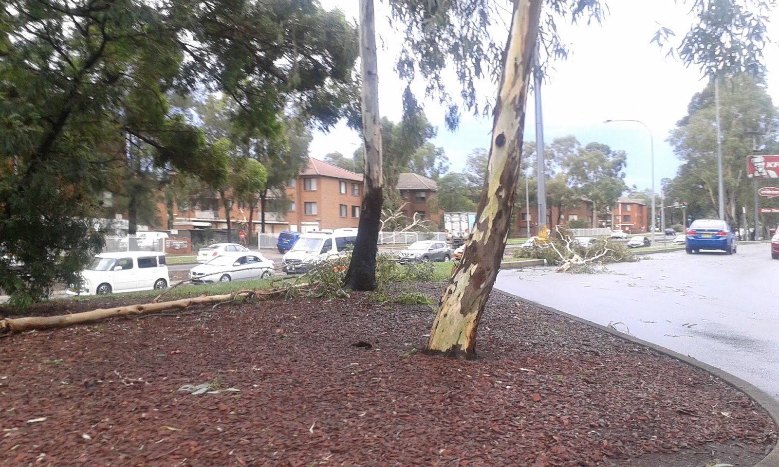 Why I Love Mount Druitt! Mount Druitt Cops Bad Weather Some House Destroyed And Uproots Many