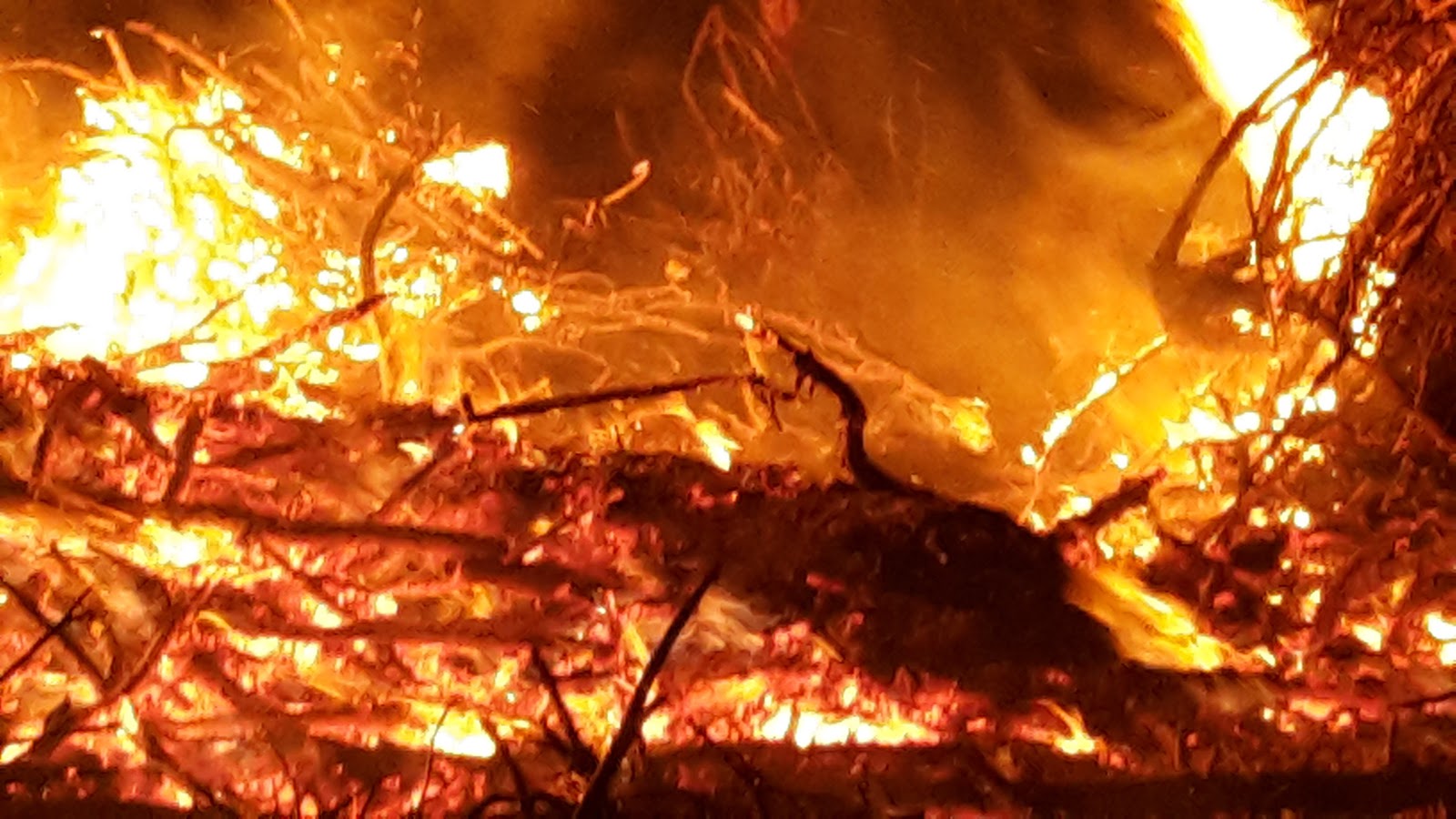 Was Habt Ihr Zuletzt Fotografiert Part 1 Archiv Seite 7