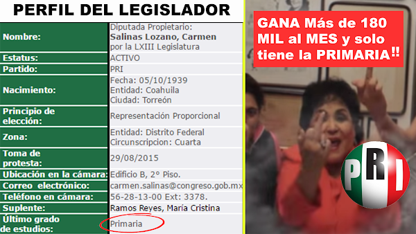Lanzan petición para exigir que la licenciatura sea obligatoria para ser diputado o senador Lanzan petición para exigir que la licenciatura sea obligatoria para ser diputado o senador
