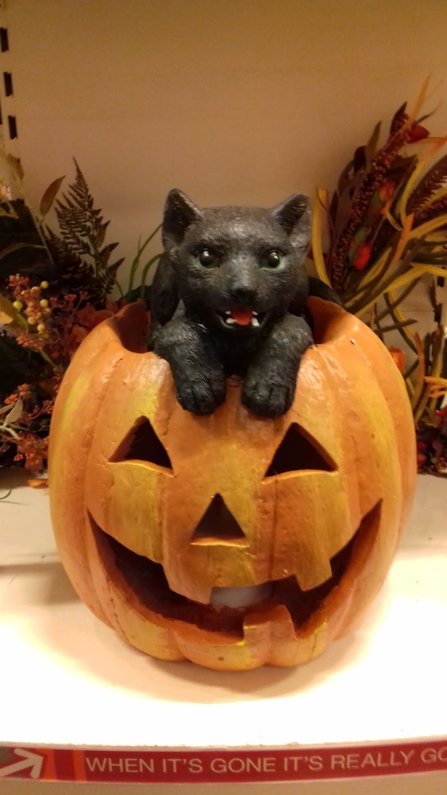 Halloween Vince S Dark Delights More From Tk Maxx