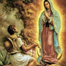 Virgem de Guadalupe - 12/12