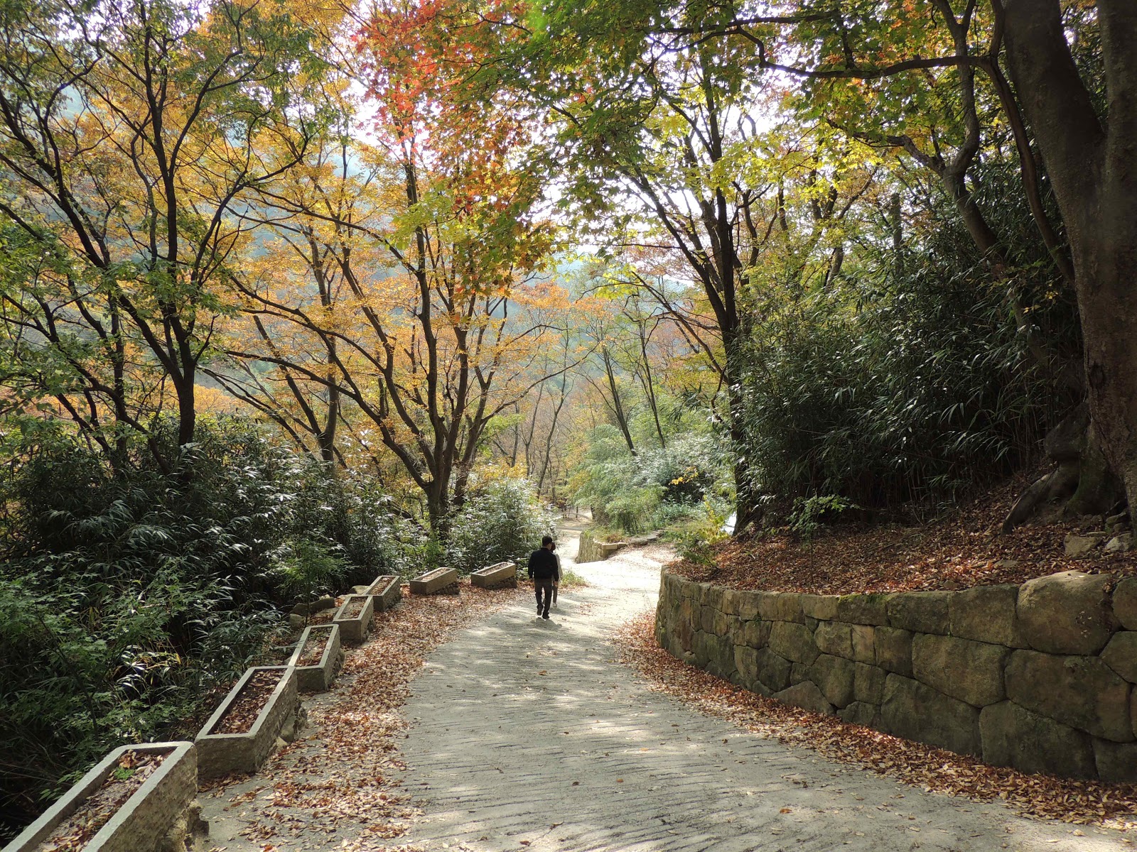 구례화엄사 구층암 구례화엄사 구층암