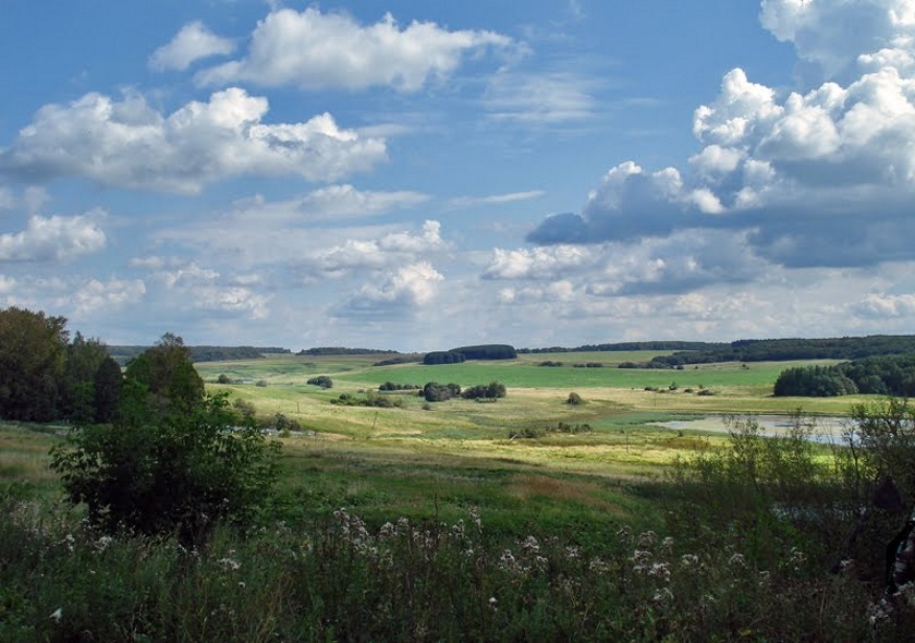 земная поверхность ивановской области. формы земной поверхности калужской области. города твоего края. кунгурская лесостепь пермский край. города твоего края.