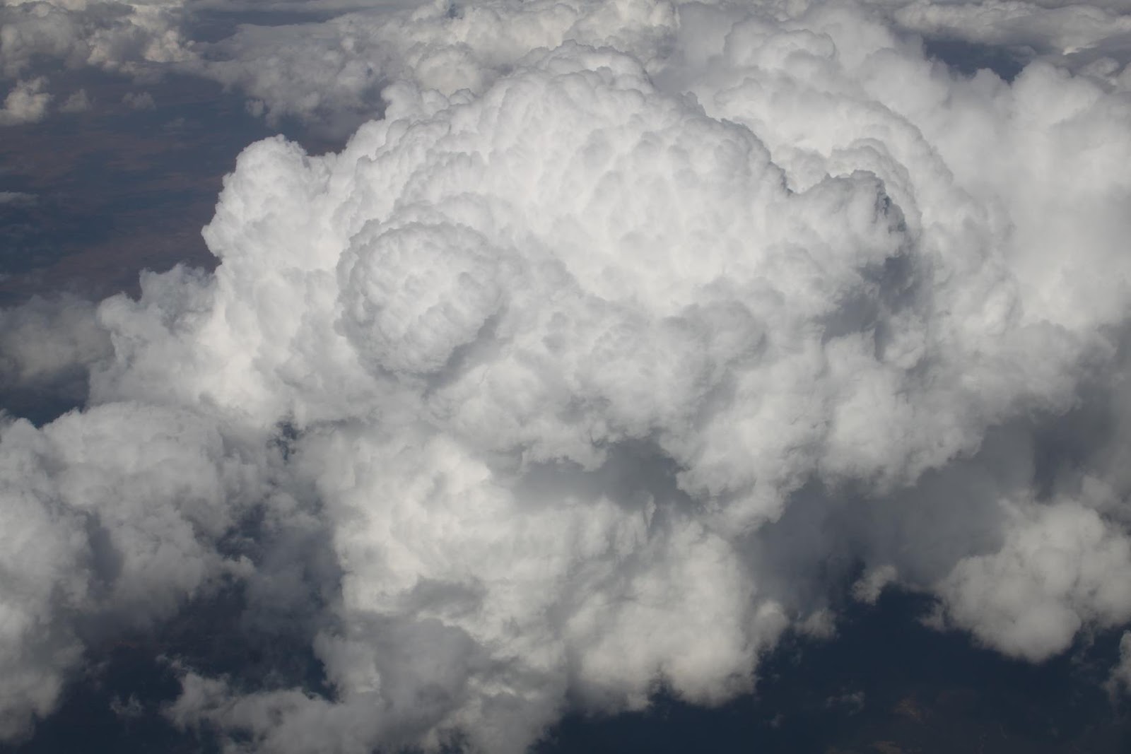 Çayırdaki Yağmur Damlası Ağustos 2012