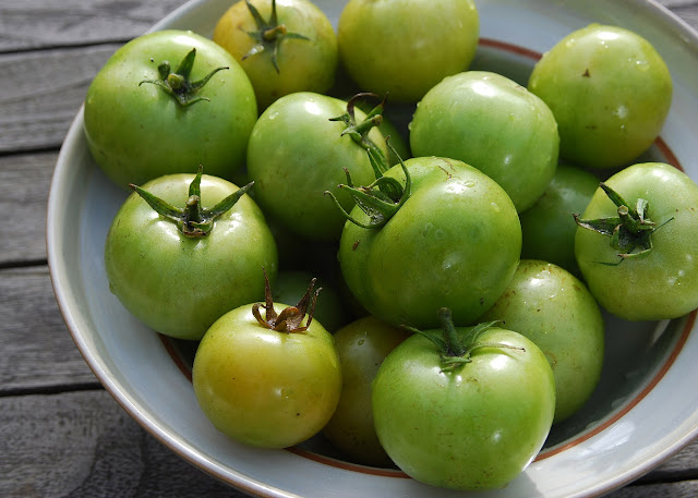 Eliminate Varicose Veins Using Tomatoes And You Will Be Amazed With The Results! Eliminate Varicose Veins Using Tomatoes And You Will Be Amazed With The Results!