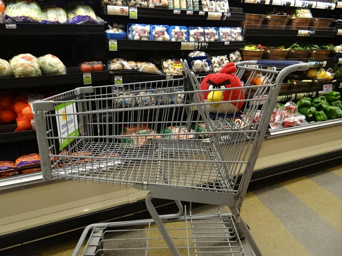 Walkabout With Wheels Blog Gomtuu Goes Shopping at Food Lion