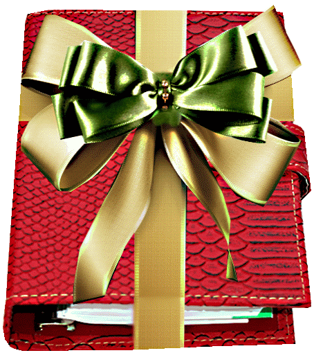 AGENDA VERMELHA - Conto de Natal - Elen de Moraes Kochman