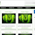 Template Galeria Green otimo para blog de noticias 