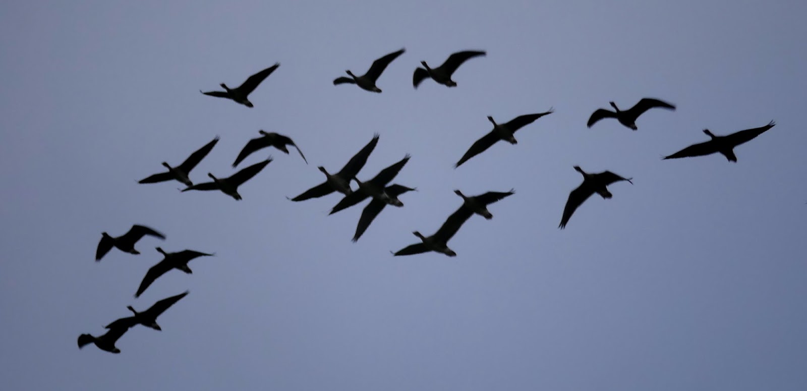 best part of the day: normal service resumed