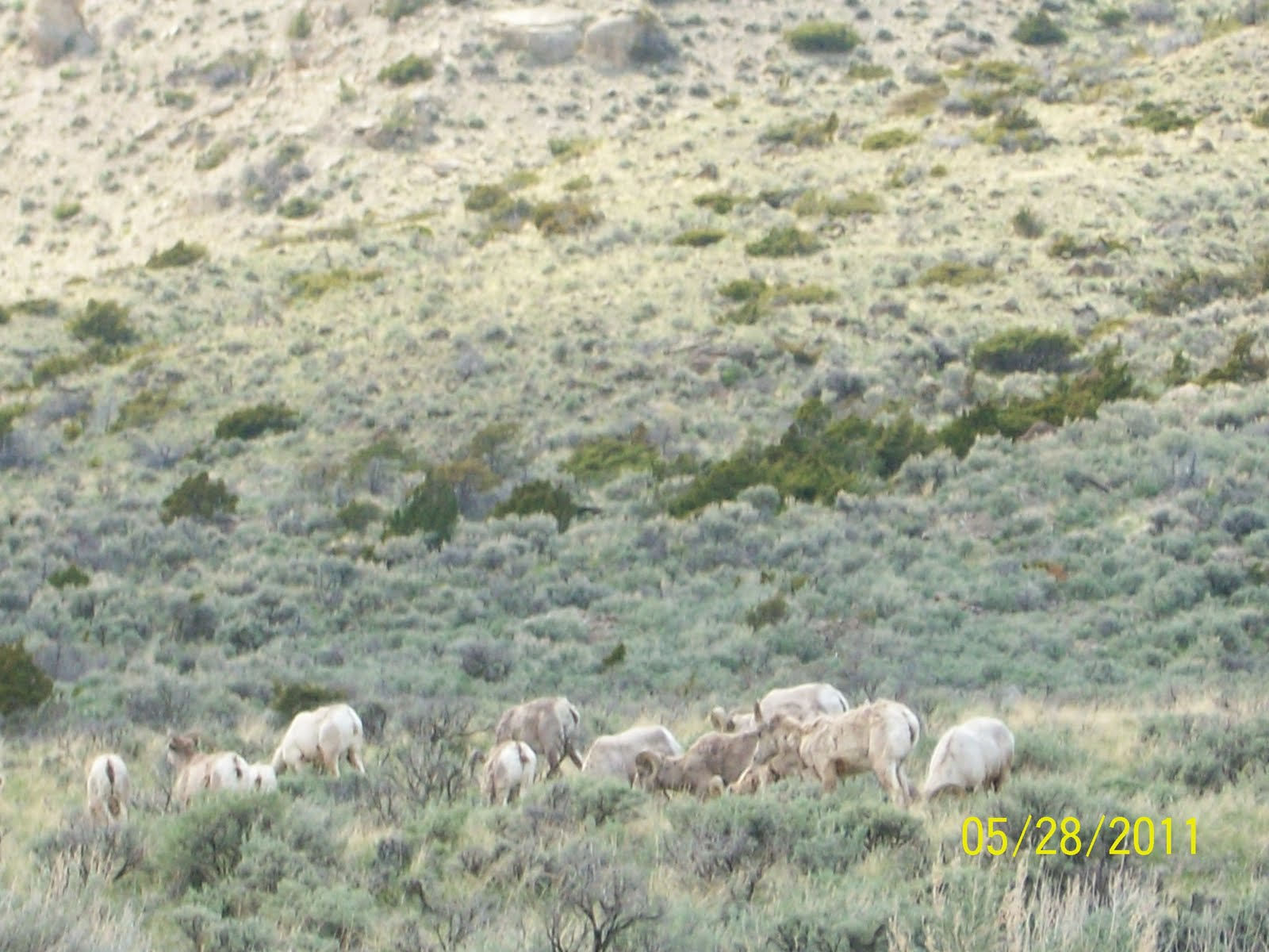 Day 31; May 28 South Fork Road