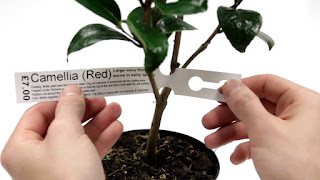 Etiquetas para plantas