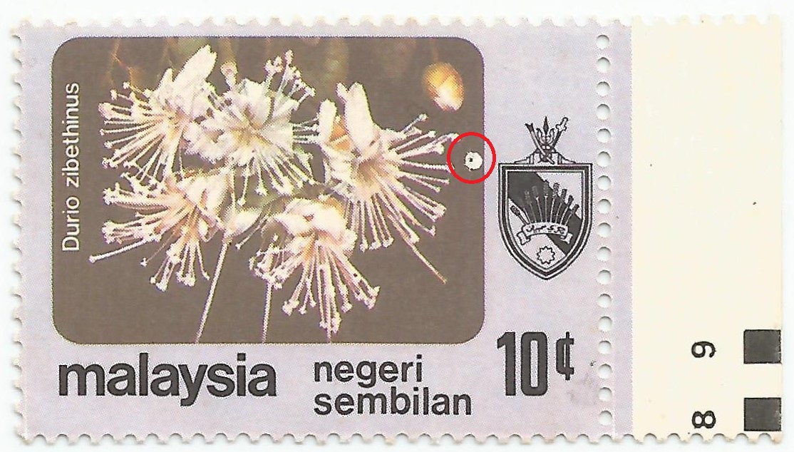 Stamps Com Error Codes Asking List