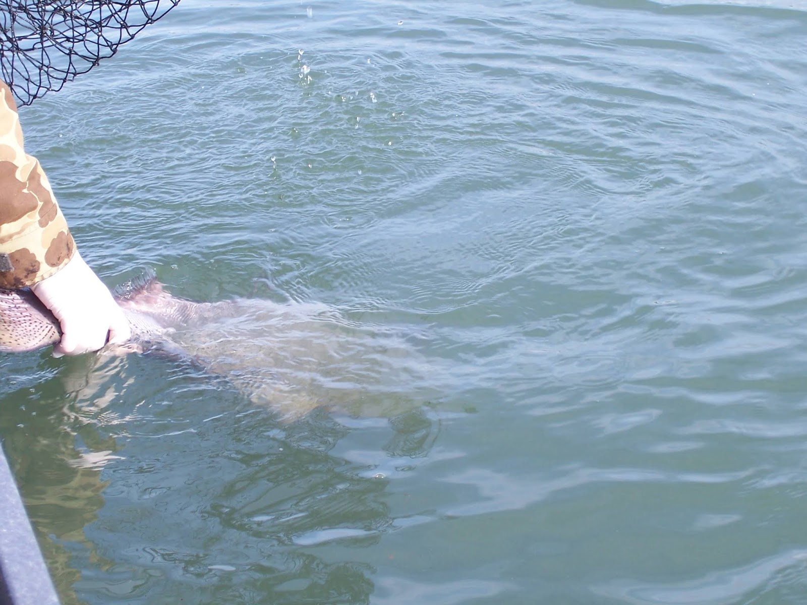 Beaver Creek Cabins Guide Service February 2019