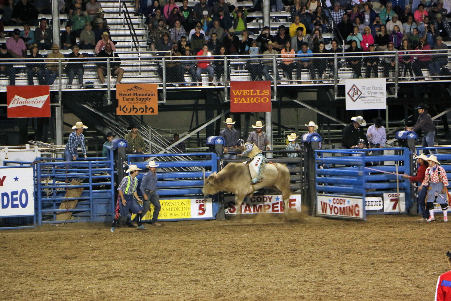 Unterwegs in Amerika Cowboys in Cody Cody Nite Rodeo