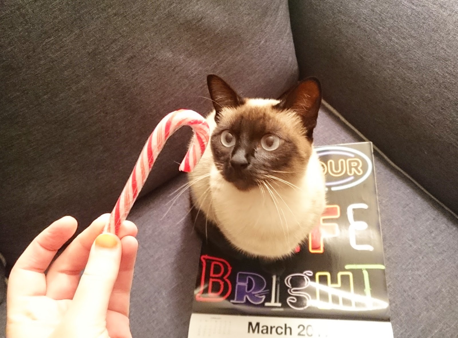 Emine ile Perfect İngilizce Bir Masal Gibi