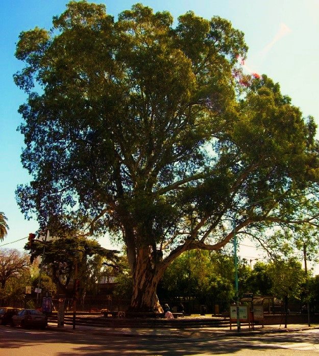 En%2Bla%2Bplaza%2B625x698.jpg