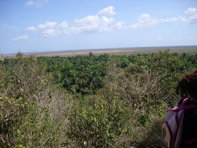Sagua Viva Un paraiso en la llanura de Jumagüa