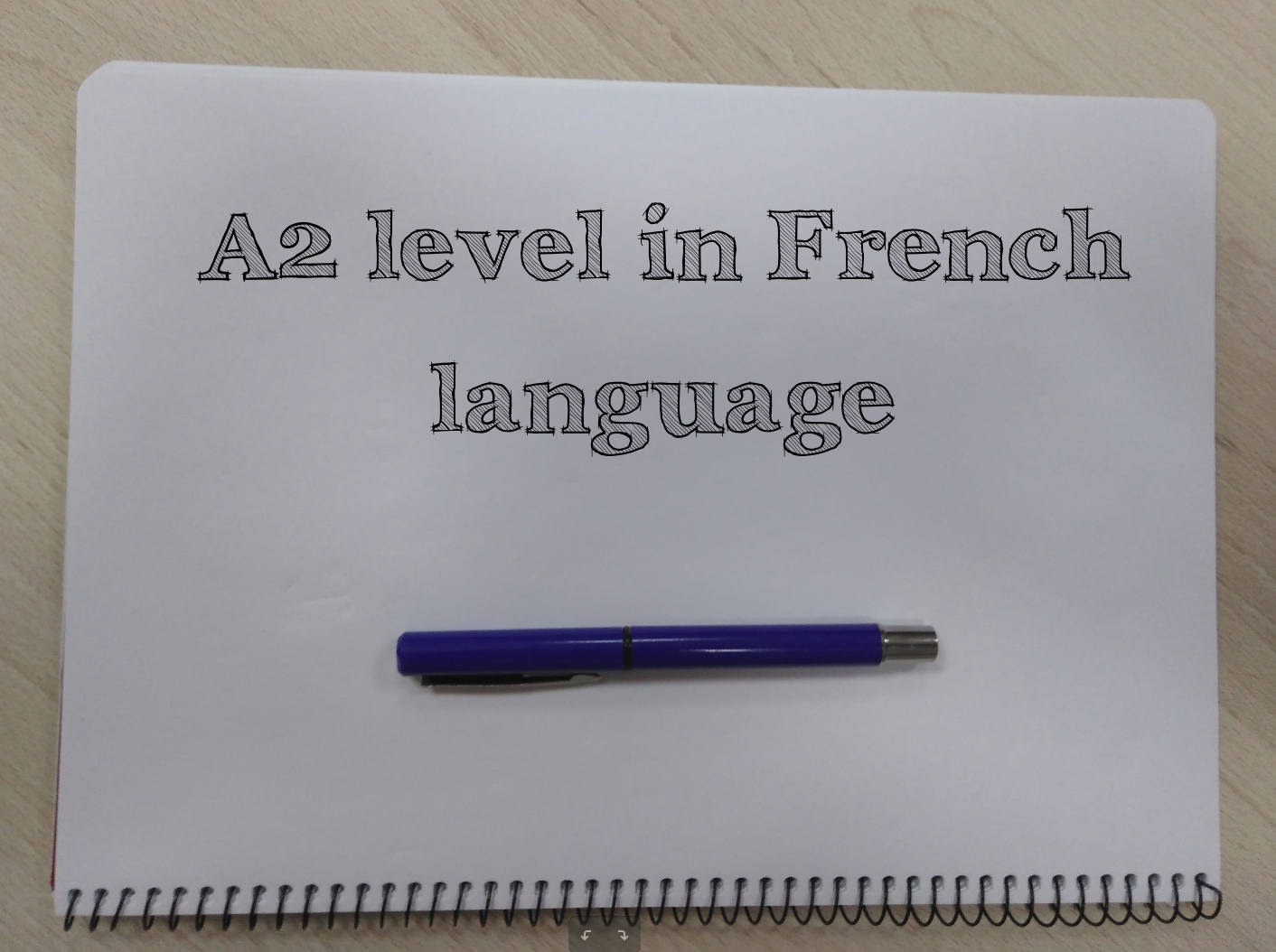 David Romero Trejo A2 level in French language