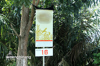 danau maninjau