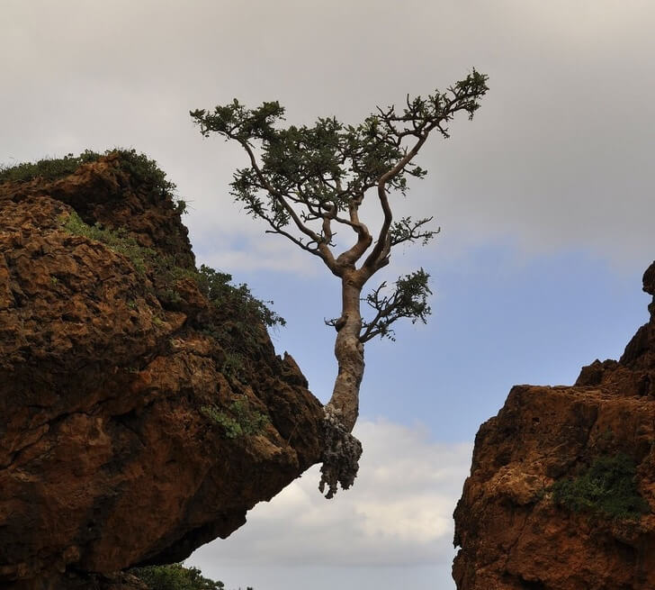 24 Awe-Inspiring Pictures That Show The Power Of Mother Nature 24 Awe-Inspiring Pictures That Show The Power Of Mother Nature